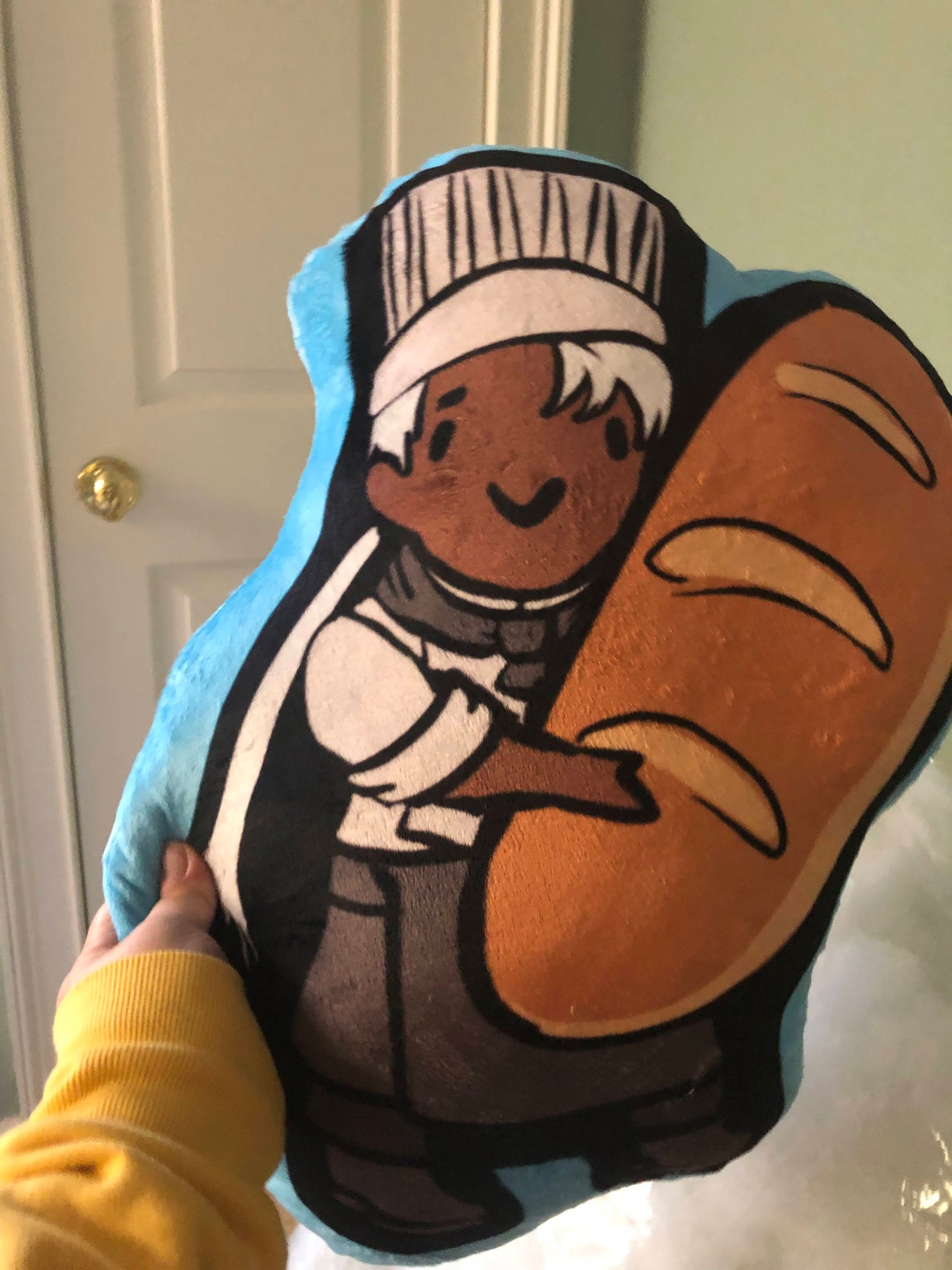 *Custom Pillow Commission